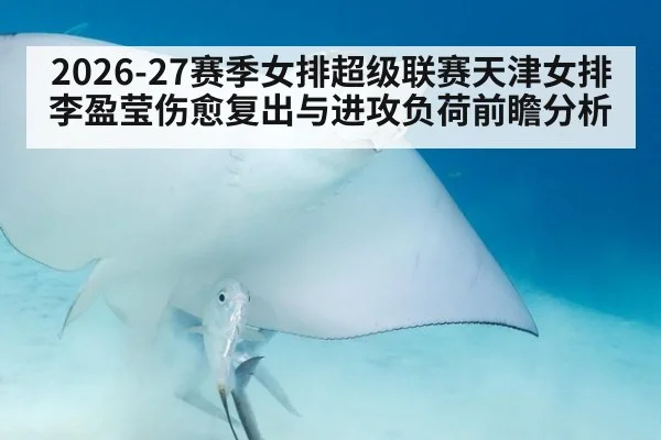 2026-27赛季女排超级联赛天津女排李盈莹伤愈复出与进攻负荷前瞻分析 - hth